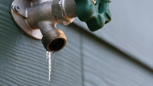 Best Shower Repair Services  in Greeneville, TN